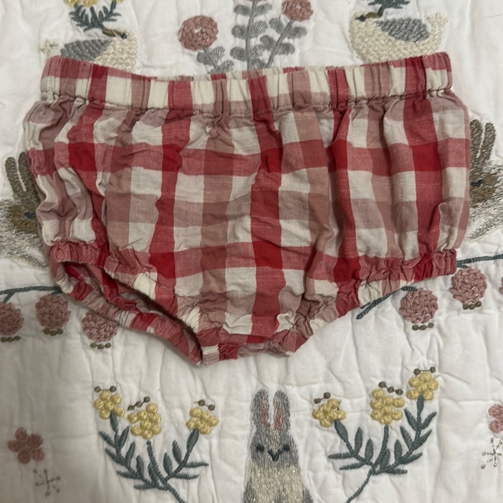 Pehr bloomer shorts.  Size 3-6 months.  So adorable on with the tiny pocket.